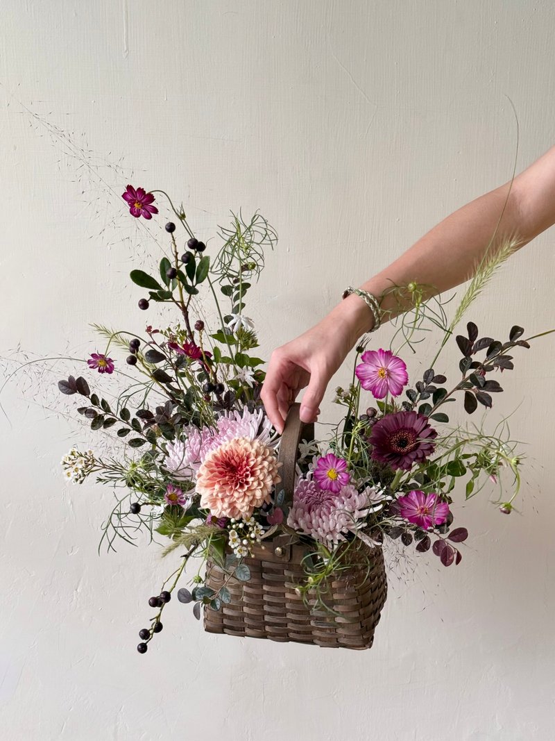 缤纷色菊花 鲜花盆花 - 植栽/盆栽 - 植物．花 粉红色