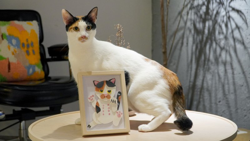 专属毛小孩纸雕体验课程 附饮品甜点 - 插画/绘画/写字 - 纸 