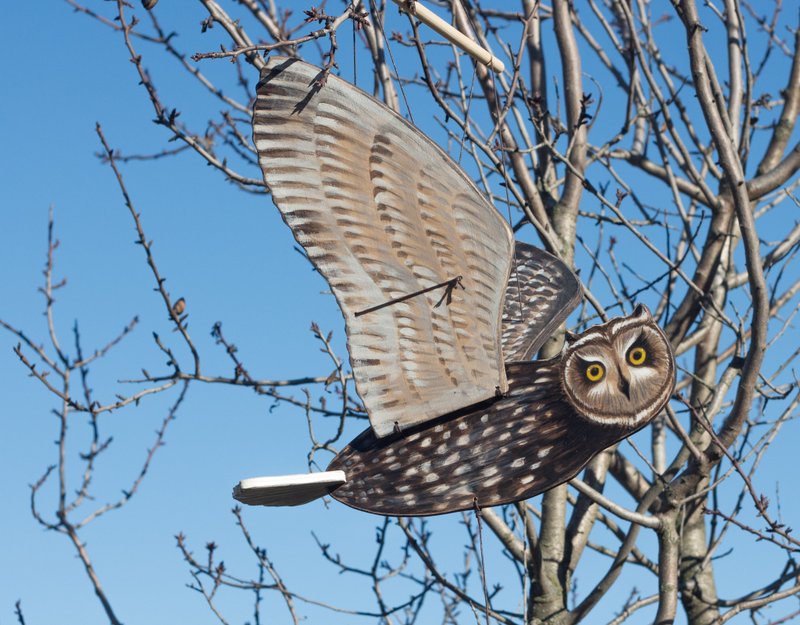 Flying owl - a moving toy - 玩具/玩偶 - 木头 咖啡色