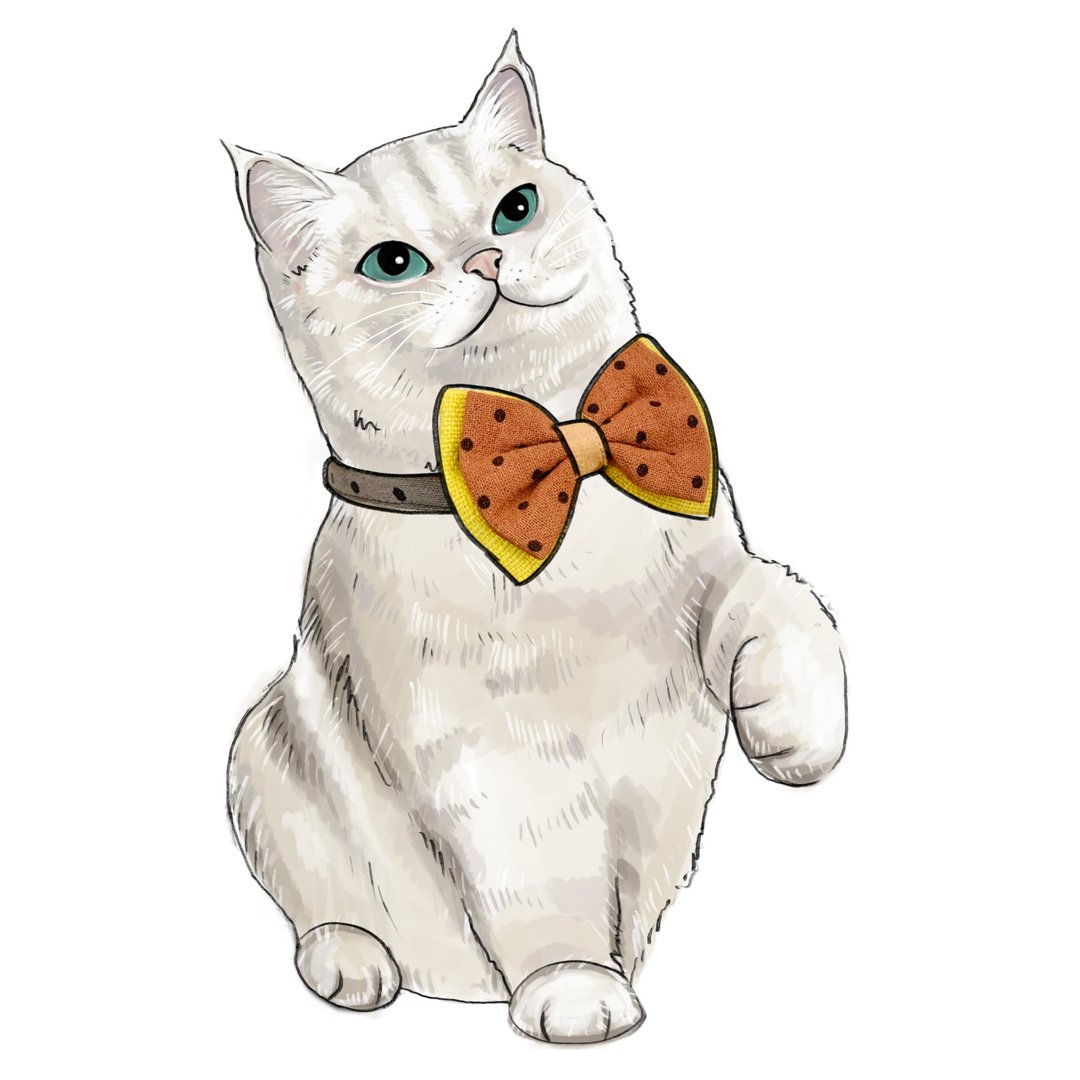 Dog bow tie collar - 项圈/牵绳 - 棉 