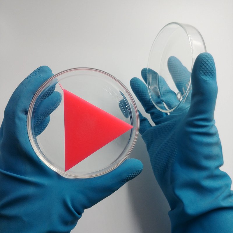 ELLO CANDLE/信息蜡烛/告白蜡烛/定制化礼物/藏字蜡烛/造型蜡烛 - 蜡烛/烛台 - 蜡 多色