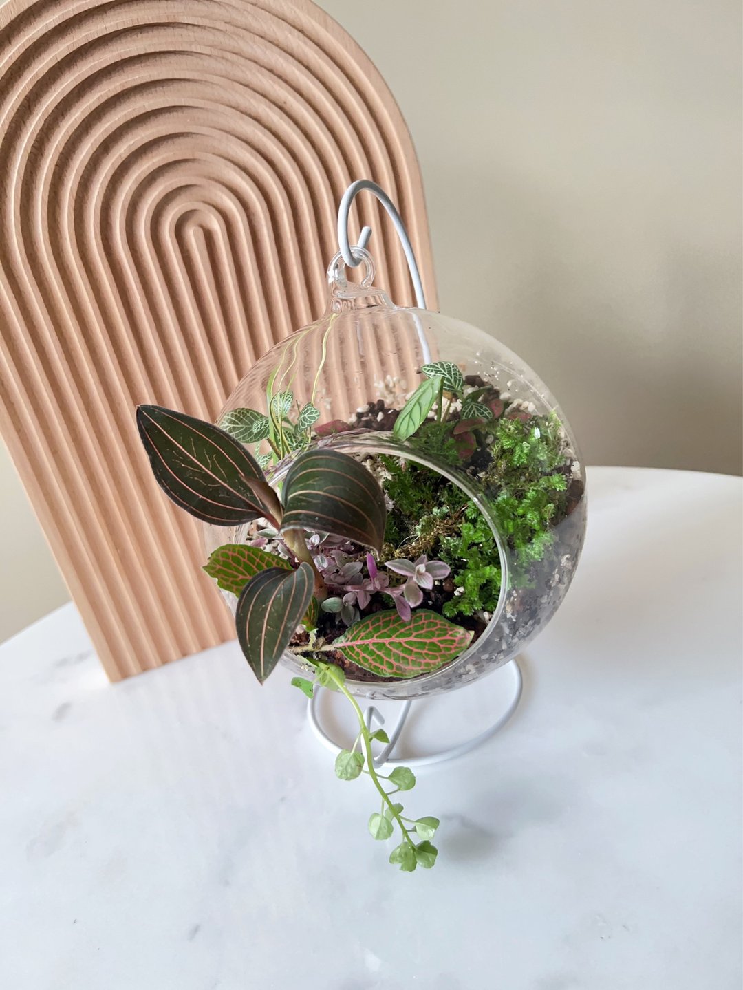 | 桃园青埔 |  企业教学 绿沐-亲子/成人手作植栽-生态瓶 - 植栽 - 植物．花 