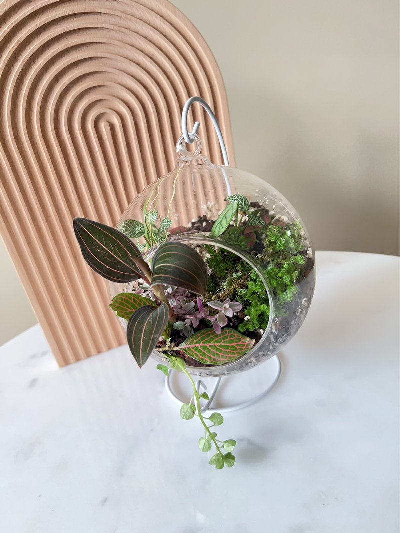 | 桃园青埔 |  企业教学 绿沐-亲子/成人手作植栽-生态瓶 - 植栽 - 植物．花 