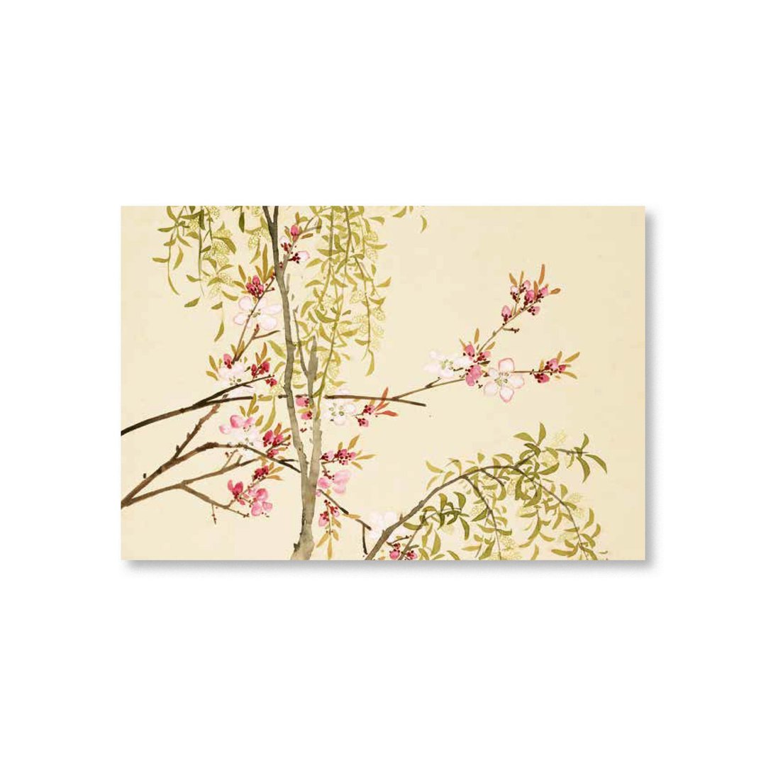 【明信片・Postcard】沈振麟・十二月花神 杨柳桃花 - 卡片/明信片 - 纸 卡其色