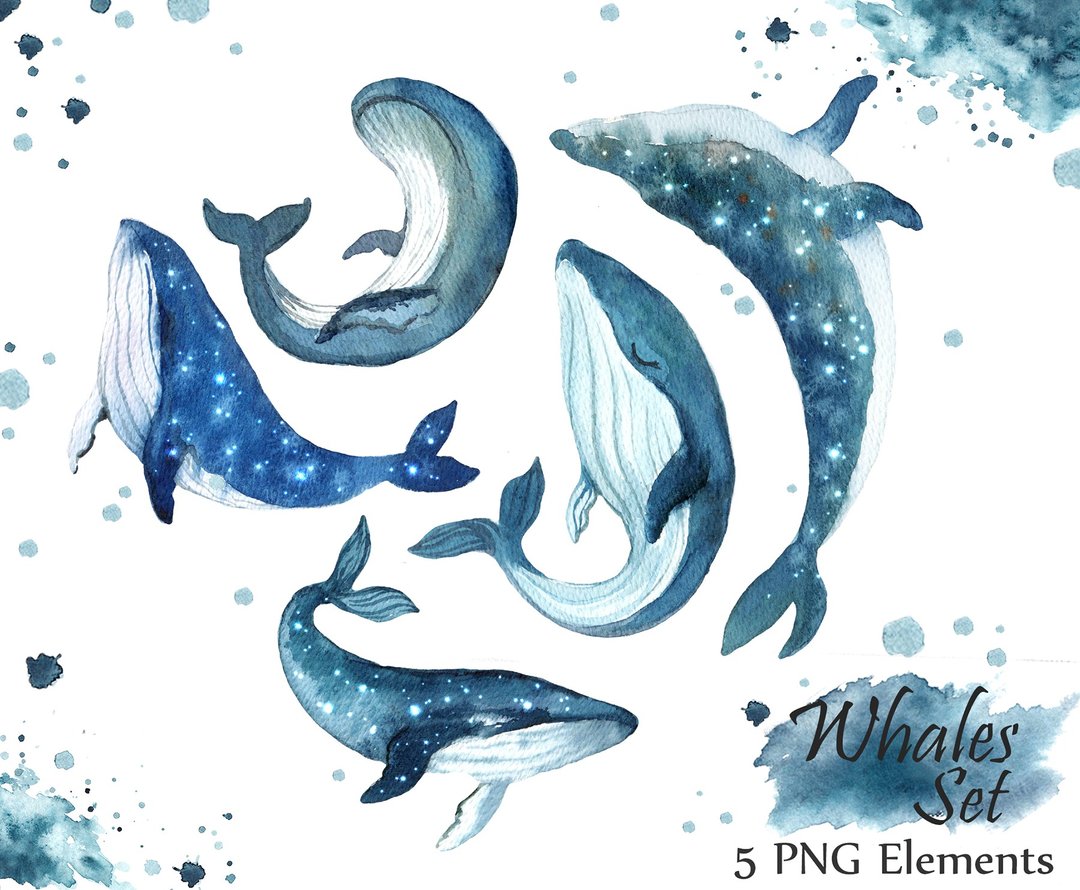 Watercolor Clipart. Whale Ocean Clipart. Cute clipart themed with humpback png - 插画/绘画/写字 - 其他金属 蓝色