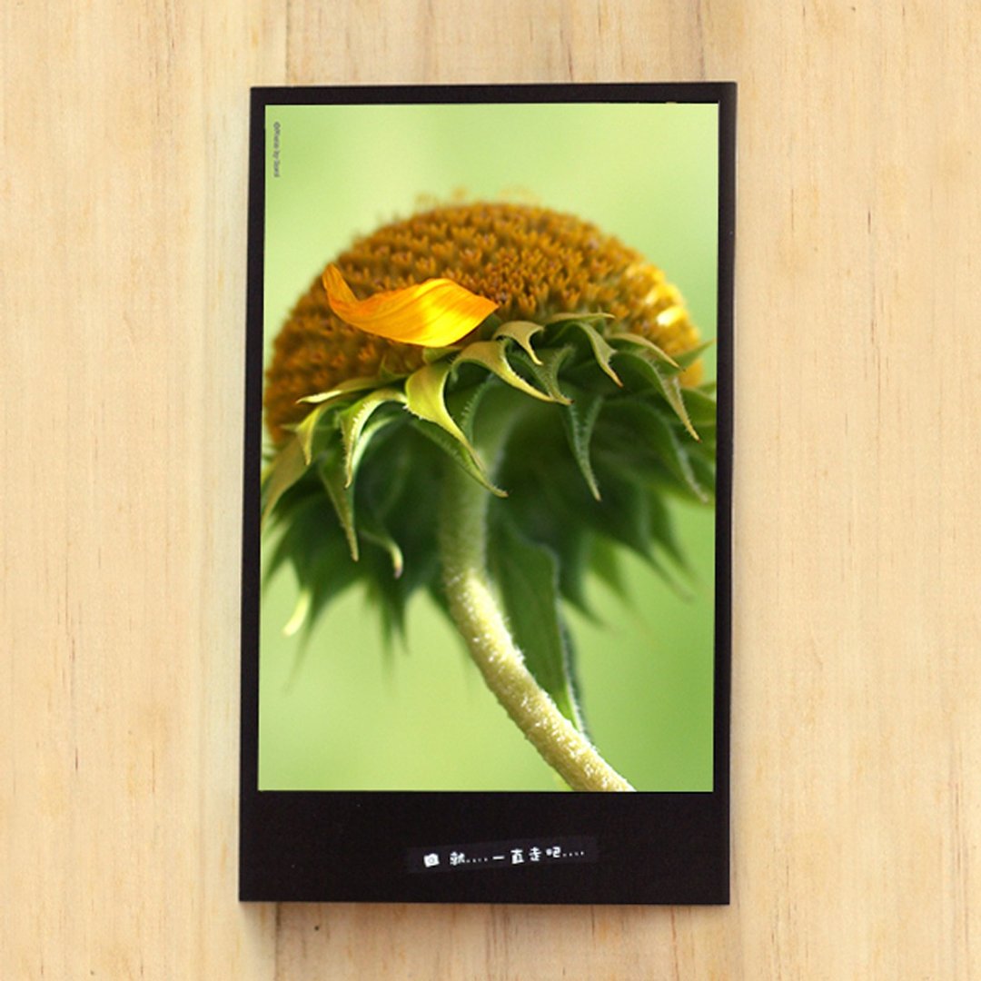 手工限量明信片-独一无二的你/台湾小物摄影 - 卡片/明信片 - 纸 多色
