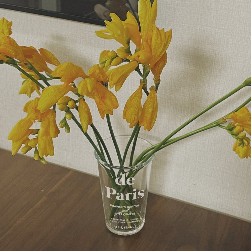韩国mamanaube | de Paris杯子/咖啡杯/法式玻璃杯/交换礼物/花瓶 - 咖啡杯/马克杯 - 玻璃 白色