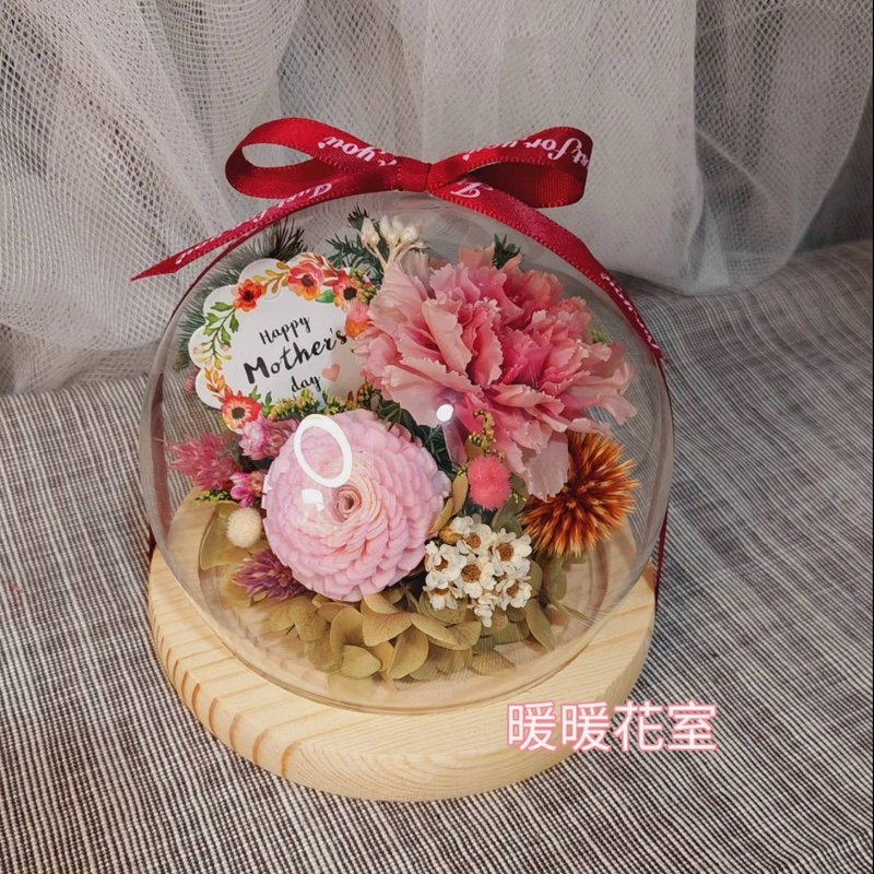 永生康乃馨玻璃花忠 - 干燥花/捧花 - 植物．花 红色