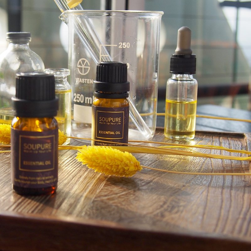 溯璞家品 青草香气 自我探索 找回当初纯真   2025人气精油五入组 - 香薰/精油/线香 - 精油 咖啡色