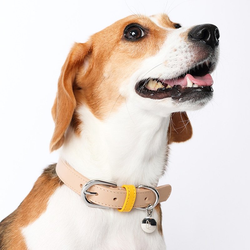 【LINGO 真皮手工宠物项圈】 - 项圈/牵绳 - 真皮 卡其色