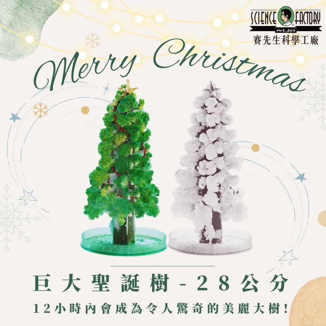 (预购)纸树开花 DIY巨大圣诞树-2款 - 木工/竹艺/纸艺 - 纸 