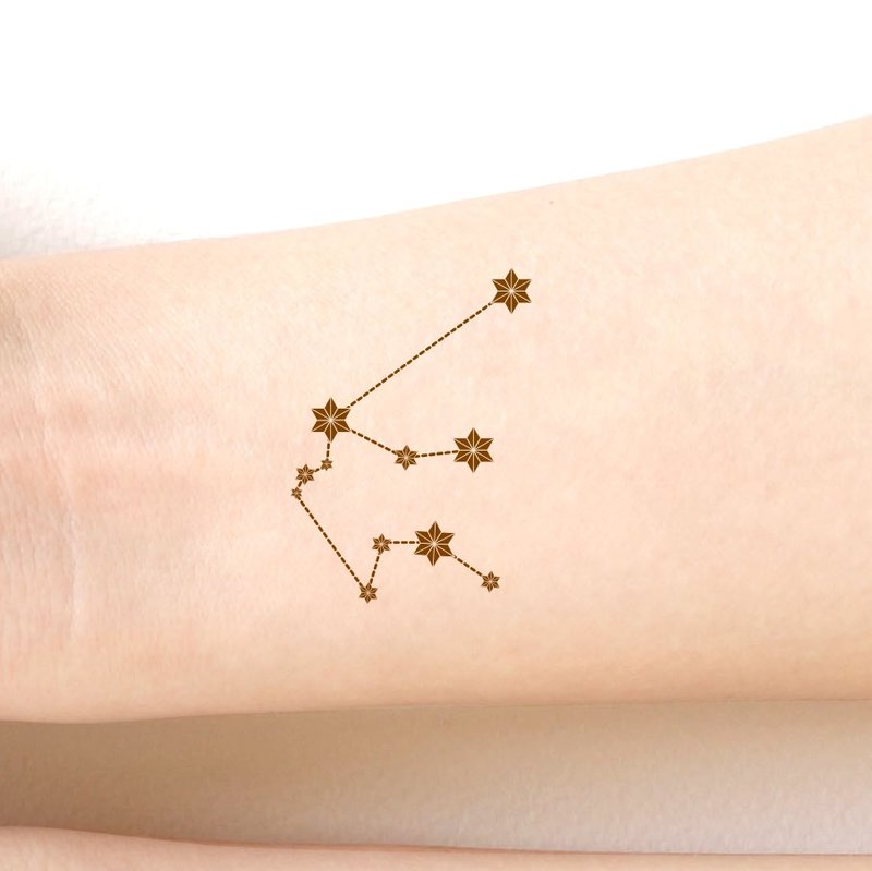 Aquarius The Water Bearer (January 20 - February 18 ) Zodiac sticker tattoos. Japanese cute style. - 纹身贴 - 纸 咖啡色