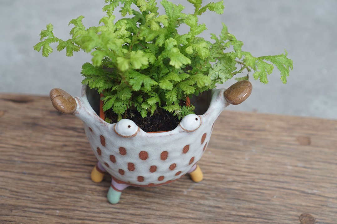 Crab plant pot handmade ceramic - 植栽/盆栽 - 陶 多色
