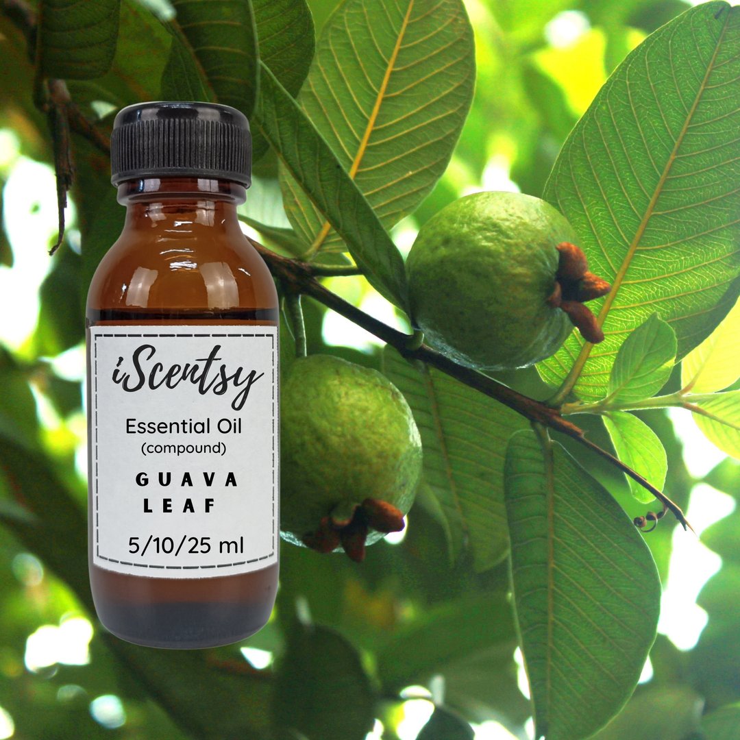Thai Pure & Natural Essential Oil: Guava Leaf Essential Oil 100% - 蜡烛/香氛/手工皂 - 其他材质 