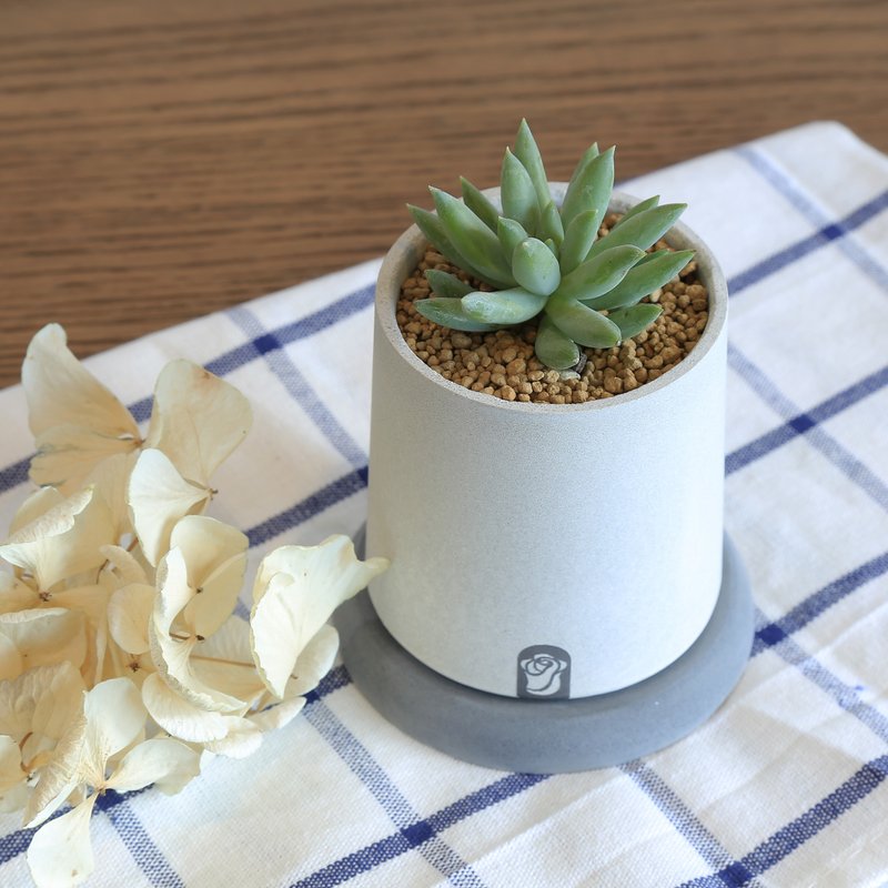 高塔 多肉植物仙人掌水泥手作盆栽组 含植物/静叶玉缀 - 植栽/盆栽 - 水泥 灰色