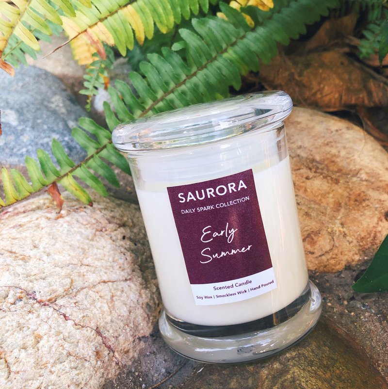 初夏 EARLY SUMMER 香氛大豆蜡烛【柑橘调】 - 蜡烛/烛台 - 蜡 白色