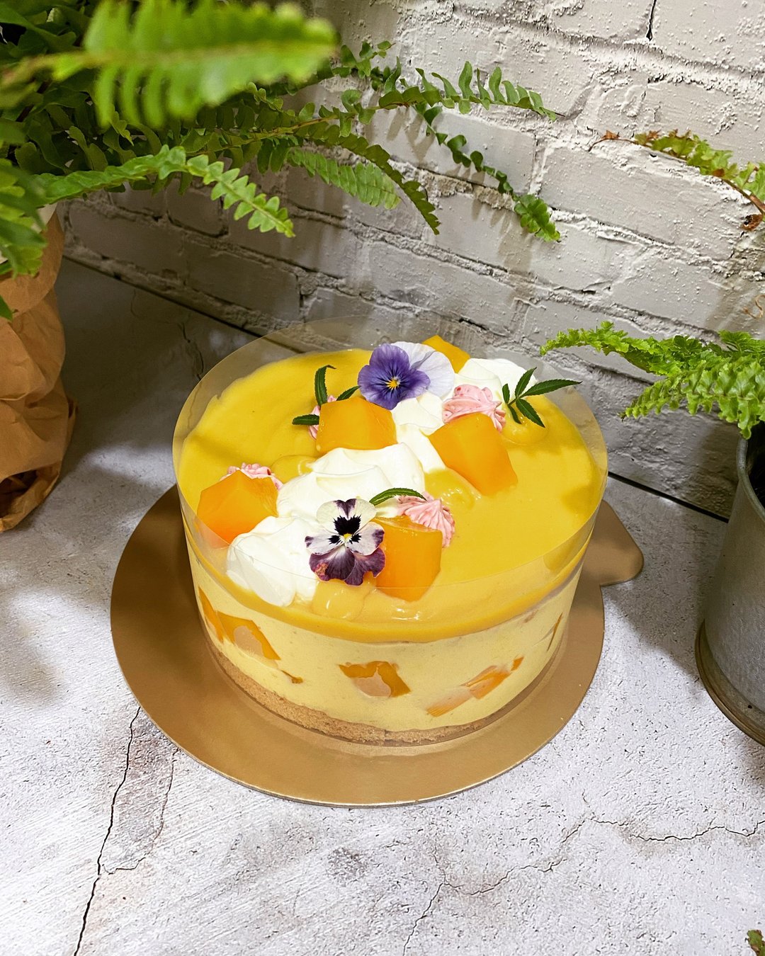 Tuxedo Cat Handmade　塔西躲猫猫 -芒果蛋糕 母亲节蛋糕 - 蛋糕/甜点 - 新鲜食材 黄色