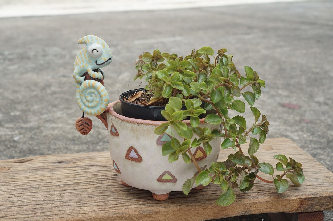 Branch with chameleon plant pot for cactus , handmade ceramic , pottery - 花瓶/陶器 - 陶 多色