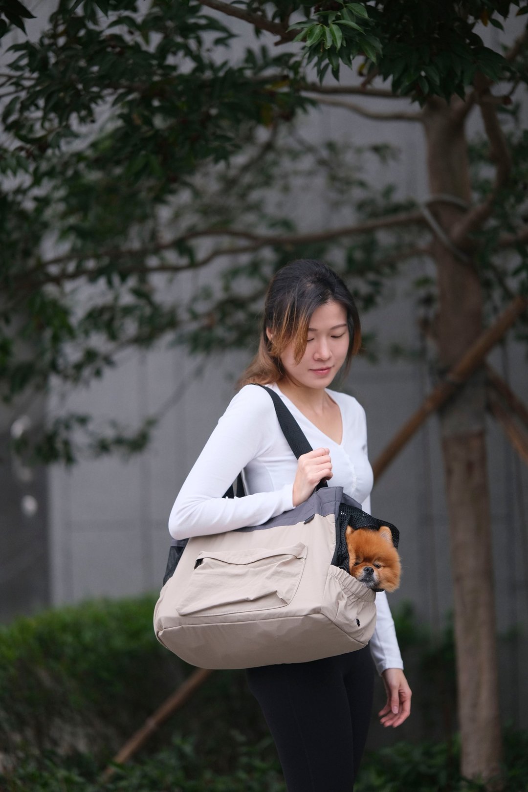 ToteReady 超轻便宠物外出袋 - 卡其 x 灰色 - 外出包 - 尼龙 卡其色