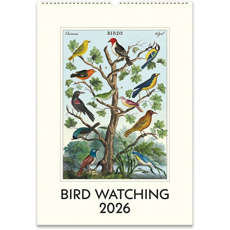 Cavallini & Co.  2026 年历/挂历_BIRD WATCHING(下单前请先询问 - 年历/台历 - 纸 多色