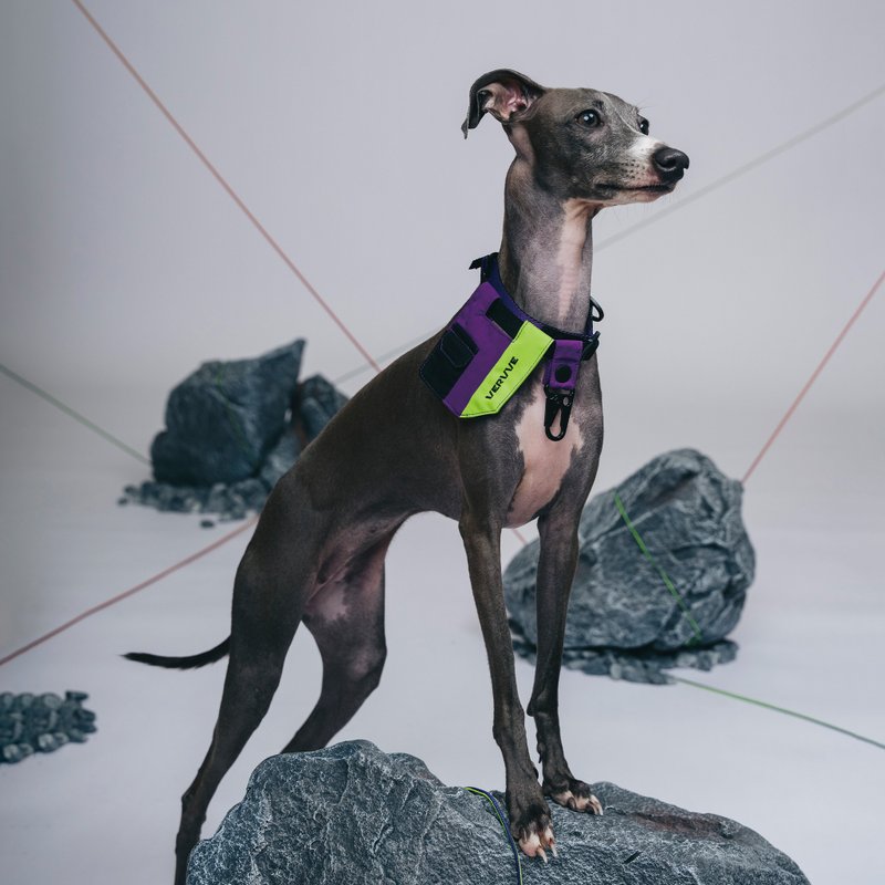 【 VERVVE 】CORE C0LLVR Pawcore 领圈 - 项圈/牵绳 - 其他材质 