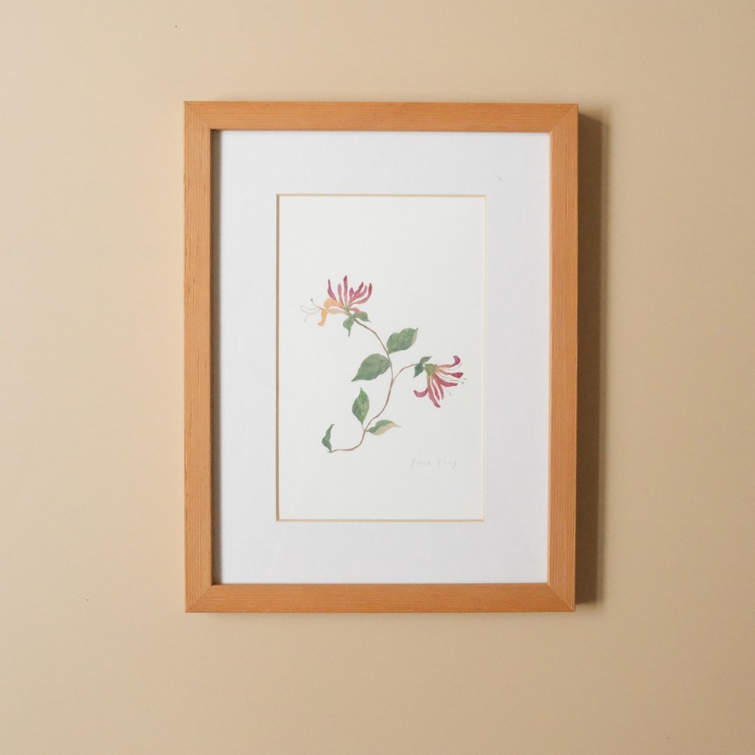 植物插画-忍冬 / 挂画 / 实木表框 - 海报/装饰画/版画 - 纸 