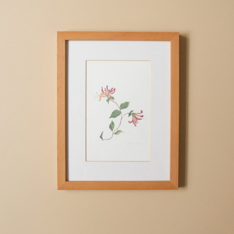 植物插画-忍冬 / 挂画 / 实木表框 - 海报/装饰画/版画 - 纸 