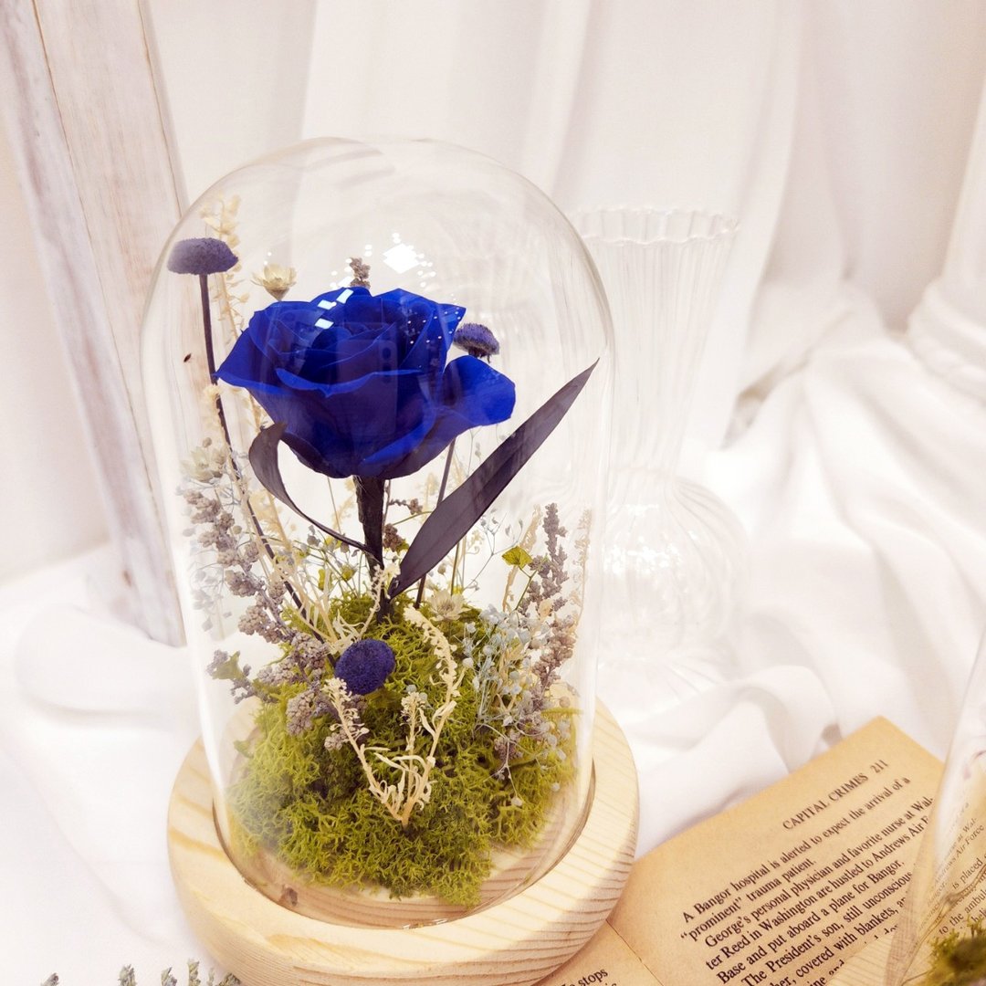 小王子夜灯 蓝色永生花钟 玻璃钟罩 永生花 干燥花 永生花夜灯 - 干燥花/捧花 - 植物．花 蓝色