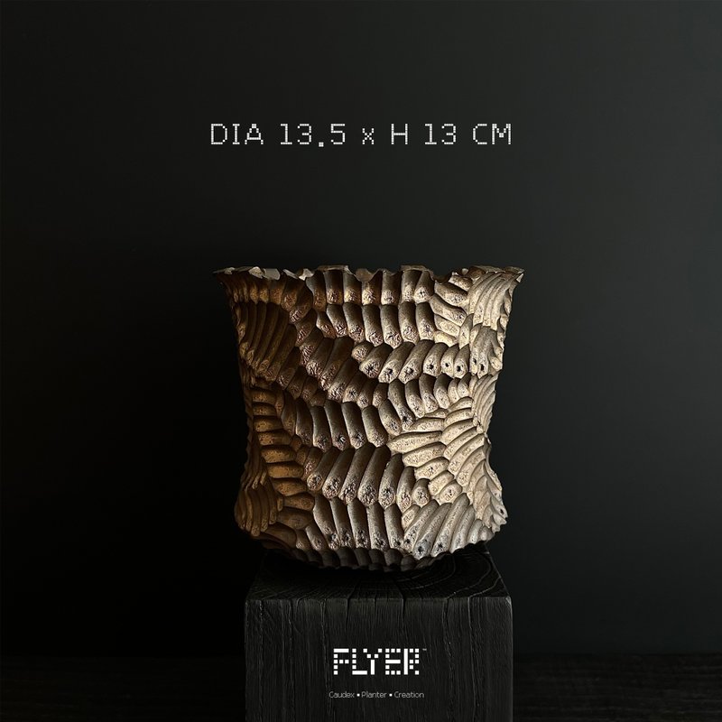 FLYER 块根多肉植物陶盆器 龙舌兰象牙宫盆器 - 花瓶/陶器 - 陶 