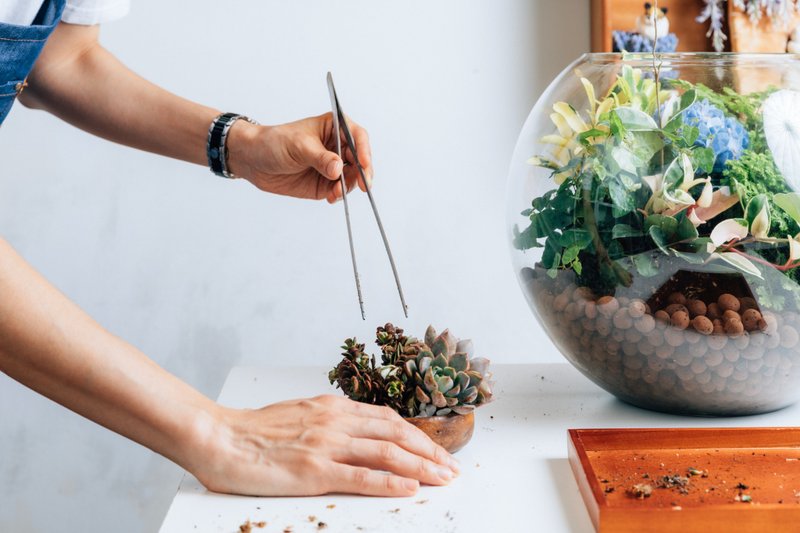 多肉木器小品 基础植栽体验课 - 植栽 - 植物．花 