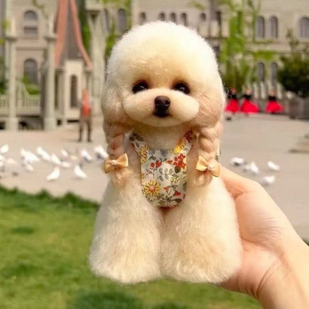 定制 逼真犬 毛孩 宠物 贵宾犬 羊毛毡 娃娃 似颜绘 纪念 狗狗 t2 - 玩具 - 羊毛 多色