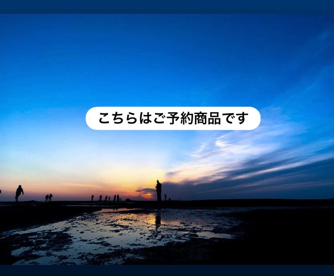 此为预约商品，请其他顾客勿购买。 - 项链 - 半宝石 多色