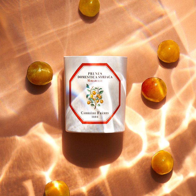 Carrière Frères 黄香李香氛蜡烛 - 蜡烛/烛台 - 陶 白色