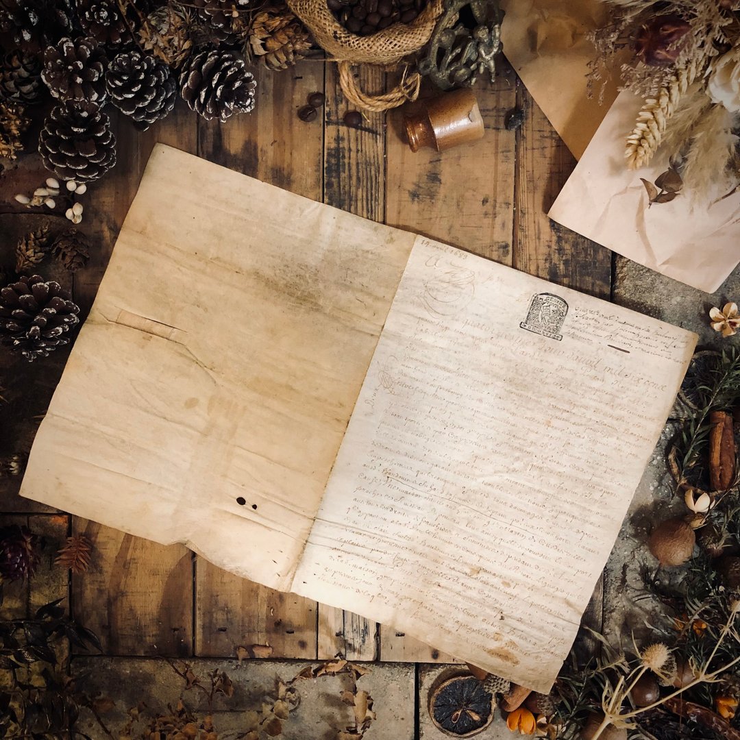 1683年法王路易十四时期法文古董羊皮纸手写古卷 - 其他 - 真皮 卡其色