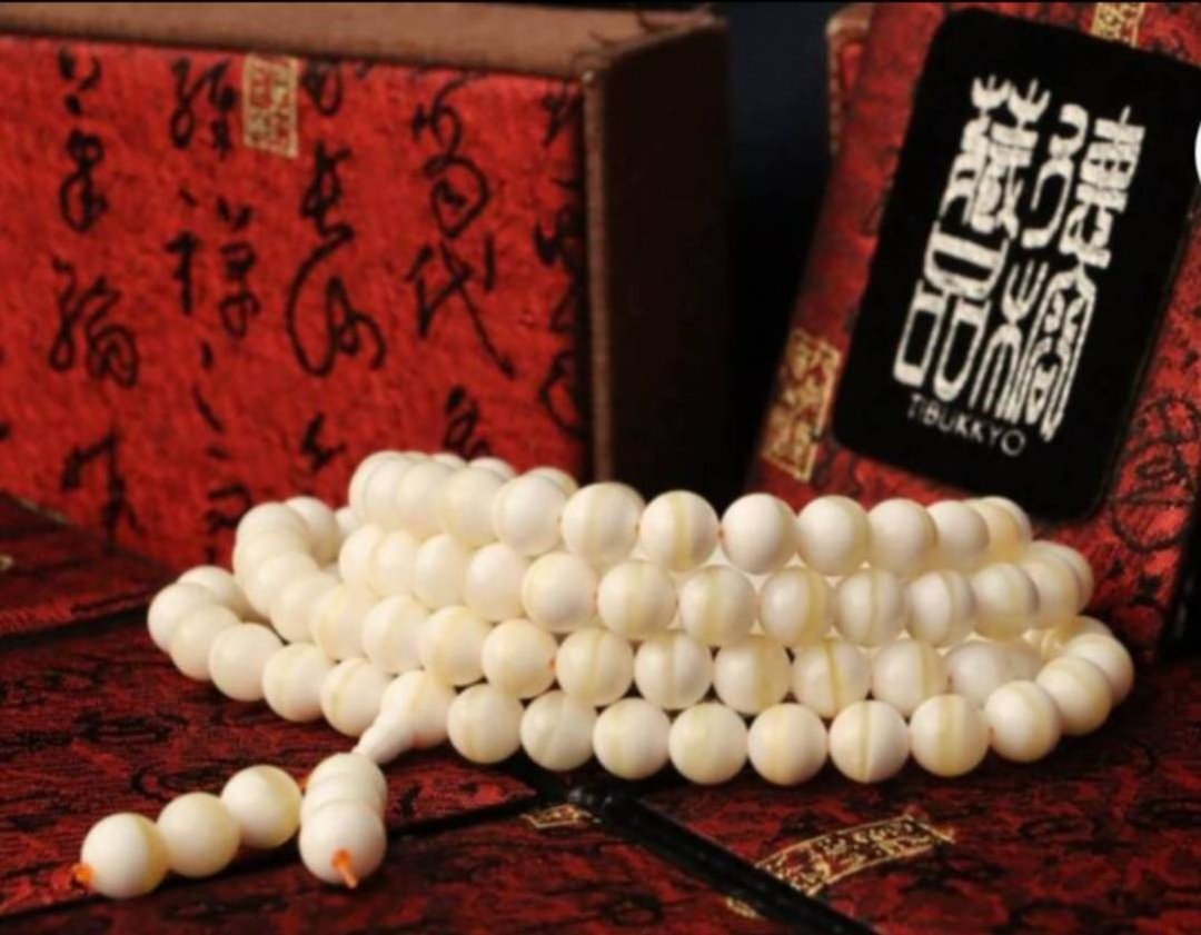 玉化金丝砗磲10mm 108颗 佛珠 念珠 手珠客制化穿配设计#金丝砗磲 - 手链/手环 - 贝壳 