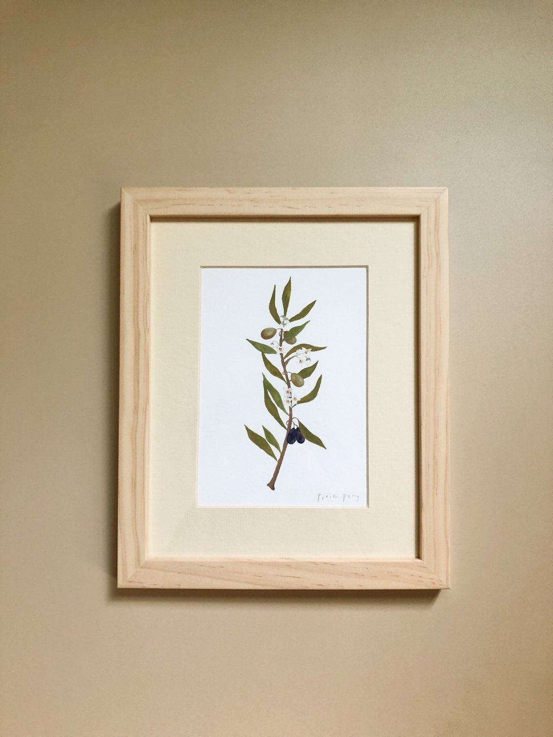 橄榄/植物画作/挂画/含裱框 - 海报/装饰画/版画 - 纸 