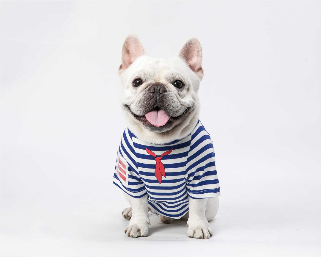 宠物衣服狗狗猫咪衣服红领巾条纹T恤 - 衣/帽 - 棉 蓝色