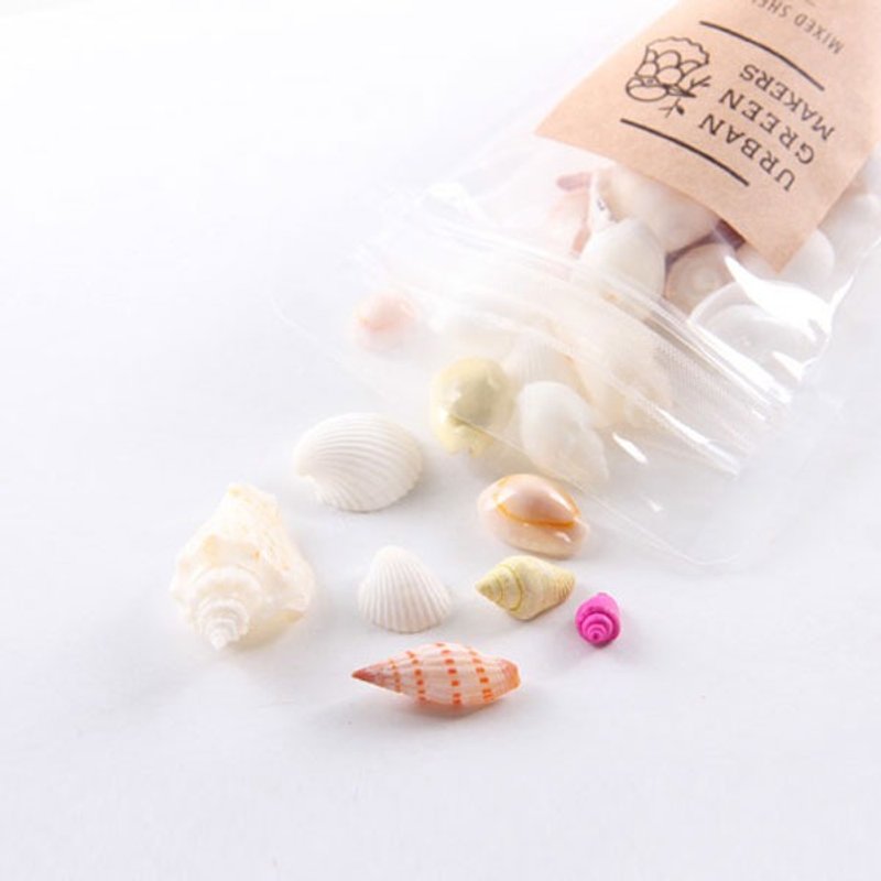 海洋的声音 / 贝壳 - 其他 - 贝壳 白色