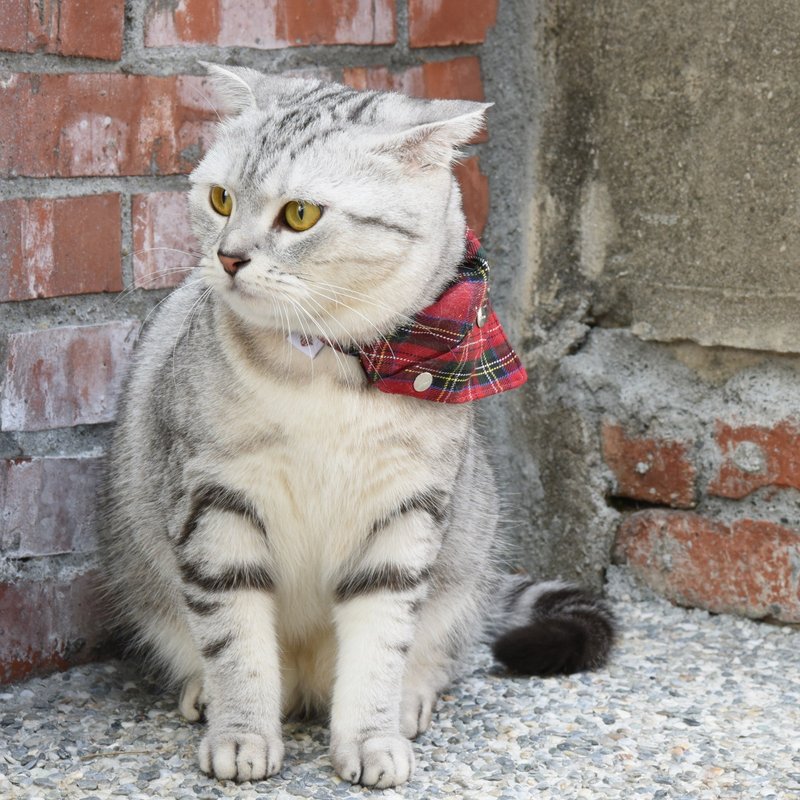 【ZAZAZOO】 猫咪项圈配件-经典红（不含项圈） - 项圈/牵绳 - 聚酯纤维 红色