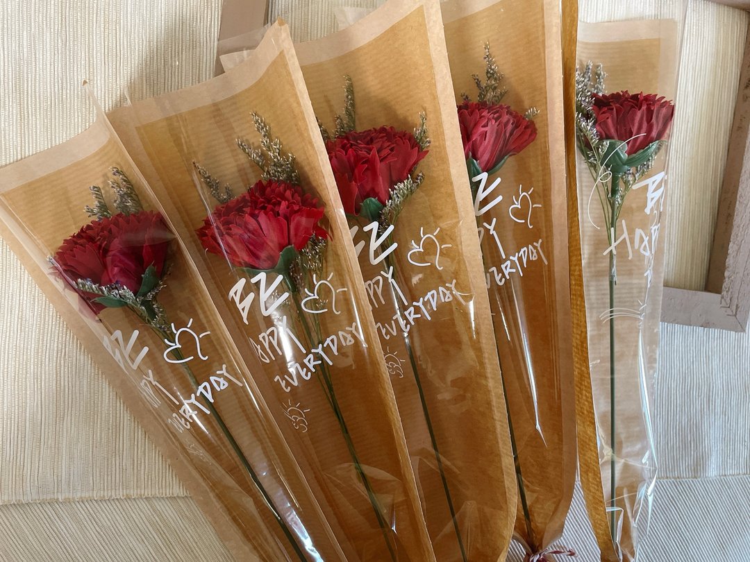 现货48hr出货/香皂康乃馨小花束/单朵康乃馨/母亲节花礼 - 干燥花/捧花 - 塑料 红色
