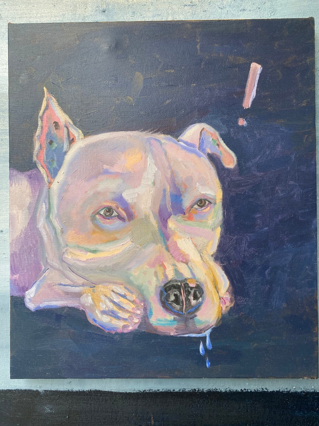 定制 宠物油画   72.5×60.5cm   20F - 摆饰 - 棉 多色