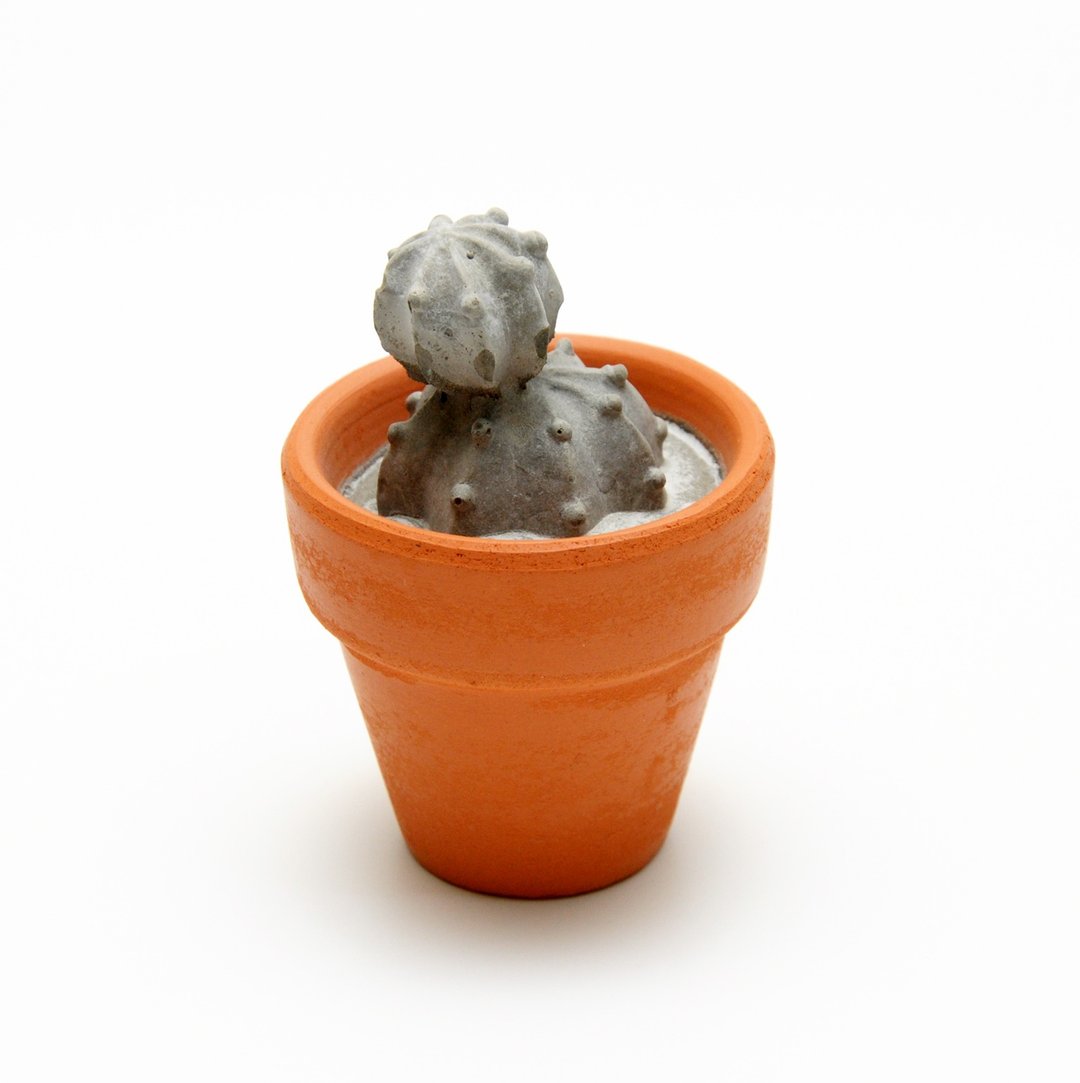 水泥多肉植物仙人掌迷你盆栽 - 永恒系列 - 摆饰 - 水泥 灰色