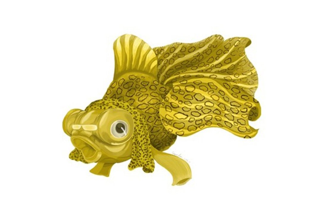 PPAP龙睛 PPAP fish 板画 插画 - 海报/装饰画/版画 - 其他材质 金色