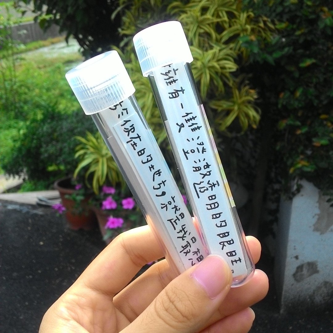 给你给自己文字试管贴纸组 - 贴纸 - 纸 白色