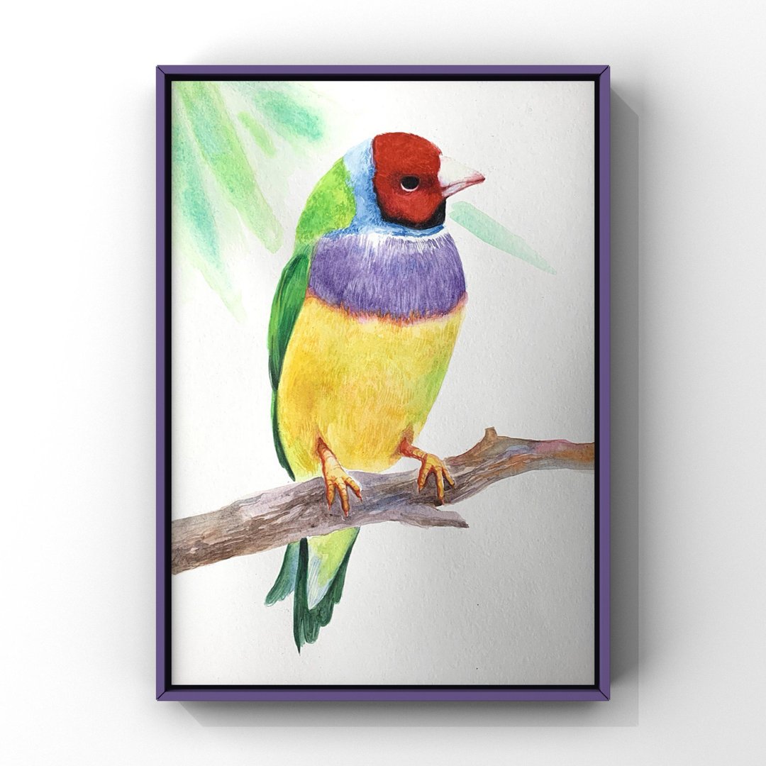 Colorful Bird Painting, Original Watercolor Picture, Bird Illustration, Bird Art - 墙贴/壁贴 - 纸 多色