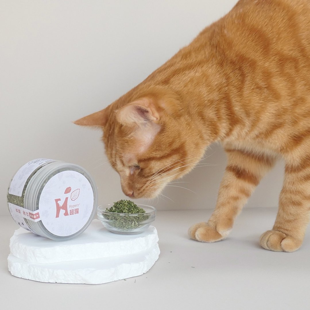 【猫零食】Hyperr 超跃 A 级嫩叶猫草 15g 猫薄荷 纾压 - 零食/点心 - 新鲜食材 