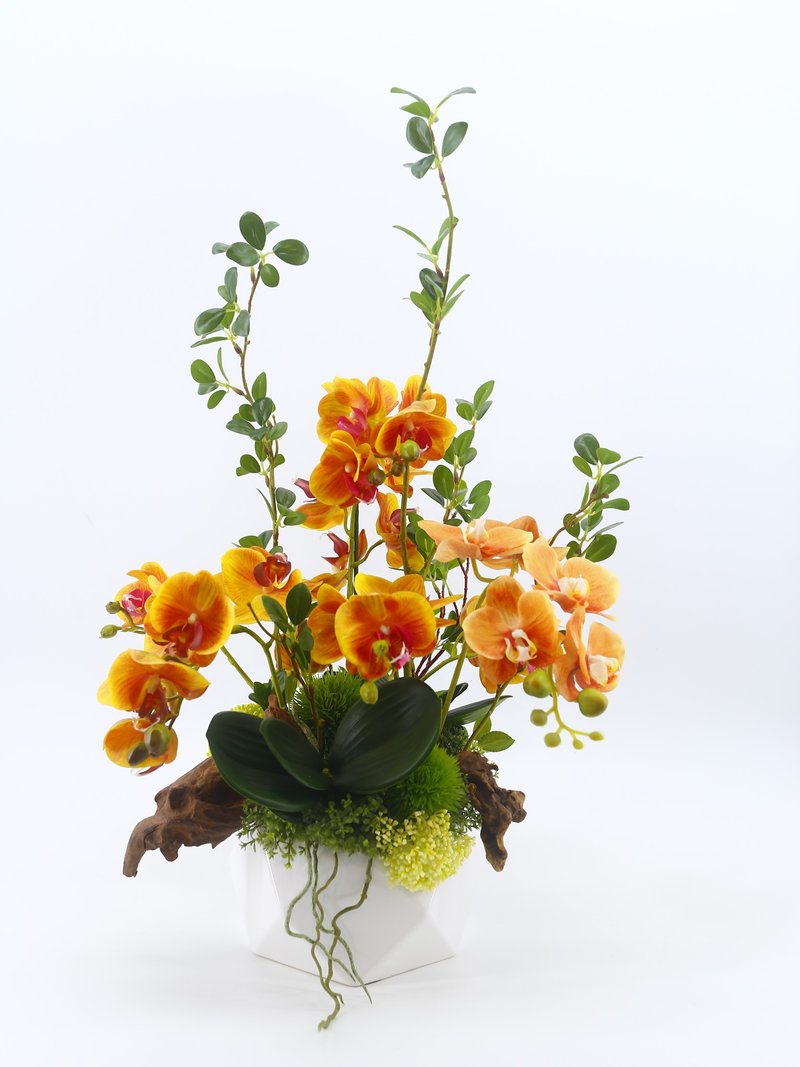 橘蝴蝶兰东方美学花礼 包邮专人配送限双北市 其余地区需补运费 - 植栽/盆栽 - 其他材质 绿色