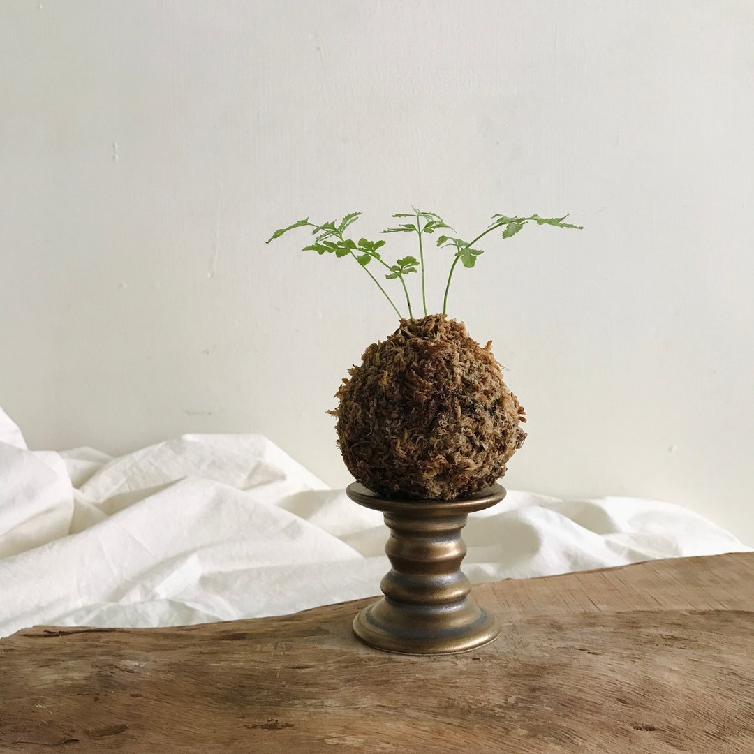 Déjà vu ceramics 陶瓷雾金矿石苔球蜡烛展示台 - 摆饰 - 陶 金色