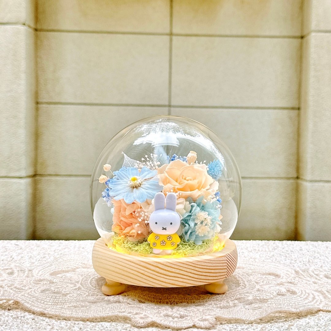 米菲兔/米飞兔/Miffy/永生花/干燥花/夜灯/玻璃盅罩 - 干燥花/捧花 - 植物．花 多色