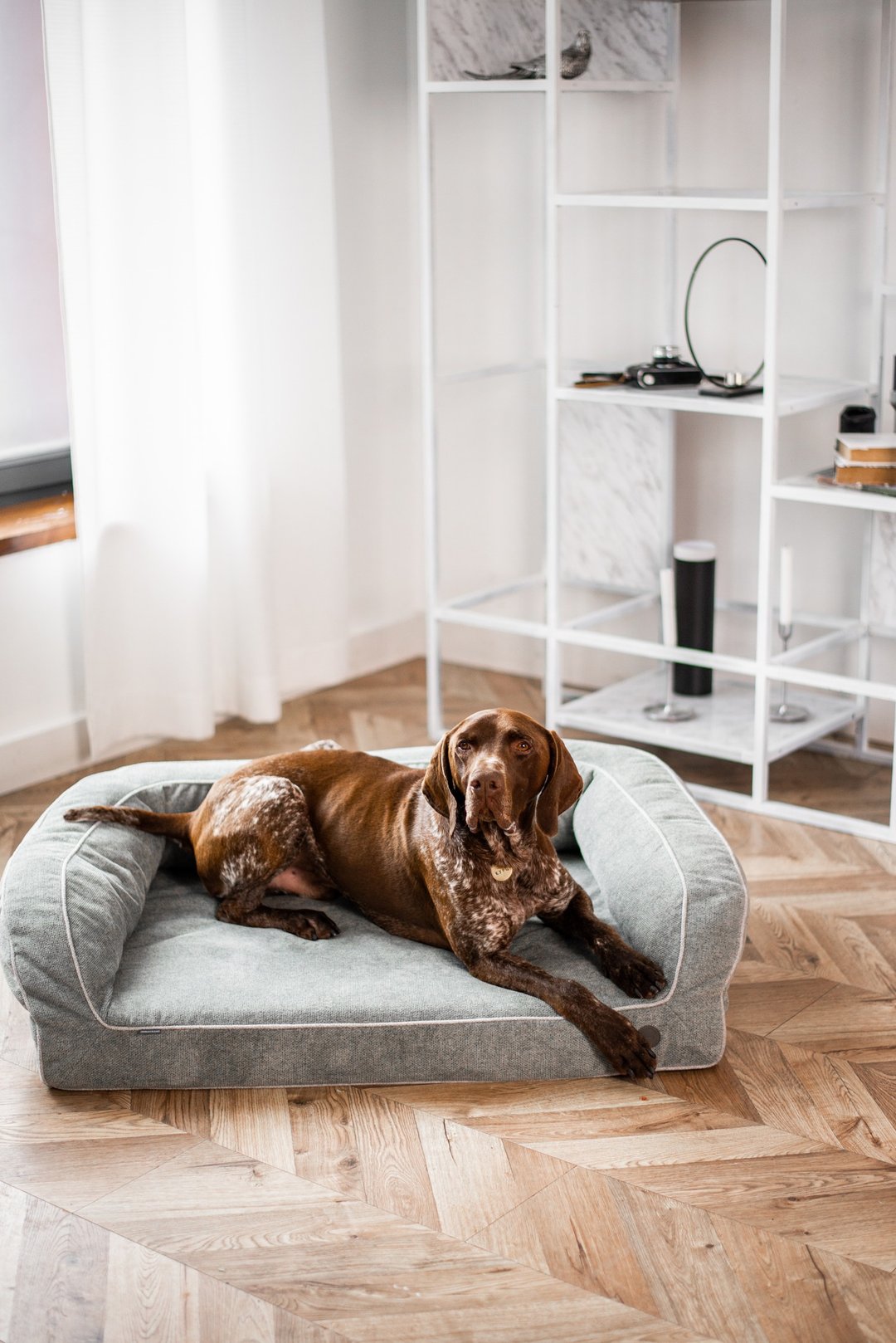 Orthopedic dog bed, Dog couch for dogs size XL 130x90 cm / 51x35 inches Grey - 床垫/笼子 - 环保材料 灰色